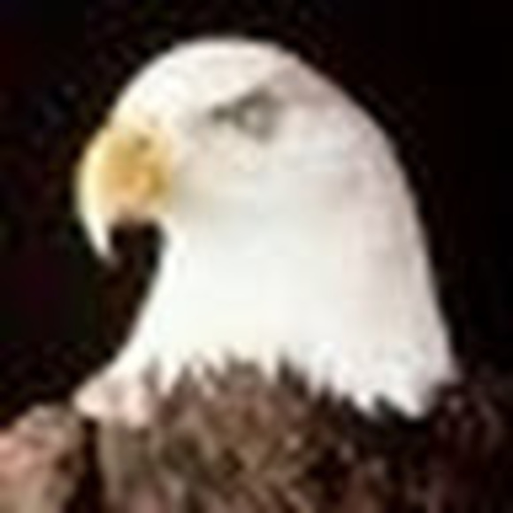 Meet your Posher, Ian - Picture 1 of 1